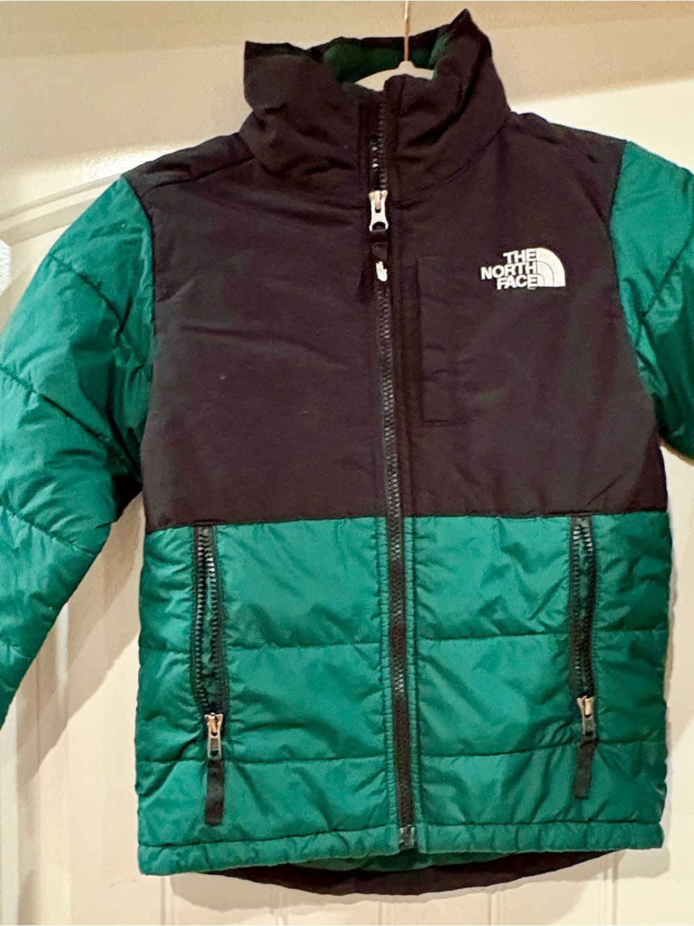 The North Face Kids Puffer Jacket - Black & Teal Green
